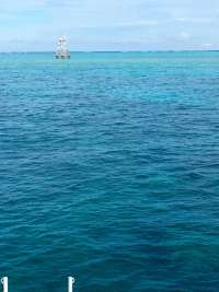 Great day of scuba diving in Key Largo with Rainbow Reef on fire coral cave tropical legend 2018 09 21 r7087 1