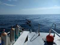 Great day of scuba diving in Key Largo with Rainbow Reef on french reef santana 2018 09 22 r7089 1