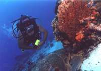Great day of scuba diving in Key Largo with Rainbow Reef on snapper ledge tropical explorer 2018 09 28 r7155 1