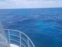 Great day of scuba diving in Key Largo with Rainbow Reef on city of washington tropical legend 2019 04 22 r8161 1