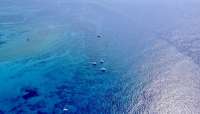 Great day of scuba diving in Key Largo with Rainbow Reef on fire coral cave tropical adventure 2019 04 07 r8090 2