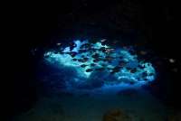 Great day of scuba diving in Key Largo with Rainbow Reef on fire coral cave tropical serenity 2019 04 24 r8167 1