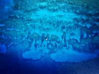 Great day of scuba diving in Key Largo with Rainbow Reef on fire coral cave tropical serenity 2019 04 24 r8167 2