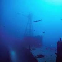 Great day of scuba diving in Key Largo with Rainbow Reef on snapper ledge tropical legend 2019 04 04 r8073 1