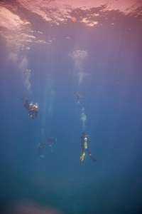 Great day of scuba diving in Key Largo with Rainbow Reef on winch hole tropical legend 2019 04 27 r8183 2