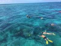Great day of scuba diving in Key Largo with Rainbow Reef on city of washington tropical adventure 2019 08 13 r8692 1