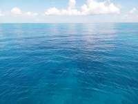 Great day of scuba diving in Key Largo with Rainbow Reef on molasses reef tropical legend 2019 08 29 r8741 1