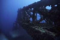 Great day of scuba diving in Key Largo with Rainbow Reef on spiegel grove tropical odyssey 2019 08 23 r8716 2