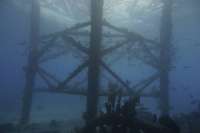 Great day of scuba diving in Key Largo with Rainbow Reef on uscgc duane tropical adventure 2019 08 13 r8690 1