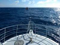 Great day of scuba diving in Key Largo with Rainbow Reef on spiegel grove tropical legend 2019 12 12 r9011 1