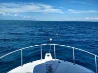 Great day of scuba diving in Key Largo with Rainbow Reef on molasses reef tropical destiny 2019 02 05 r7811 2