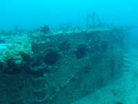 Great day of scuba diving in Key Largo with Rainbow Reef on spiegel grove tropical odyssey 2019 02 17 r7847 1