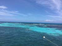 Great day of scuba diving in Key Largo with Rainbow Reef on eagle ray alley tropical serenity 2019 01 30 r7788 1