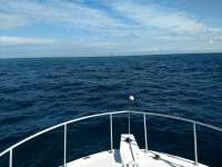 Great day of scuba diving in Key Largo with Rainbow Reef on molasses reef tropical destiny 2019 01 31 r7789 1