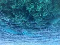 Great day of scuba diving in Key Largo with Rainbow Reef on french reef tropical serenity 2019 07 27 r8608 1
