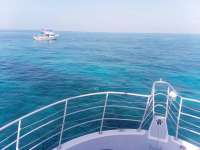 Great day of scuba diving in Key Largo with Rainbow Reef on molasses reef tropical legend 2019 07 13 r8554 1