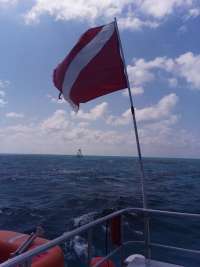 Great day of scuba diving in Key Largo with Rainbow Reef on french reef santana 2019 06 15 r8433 1