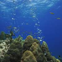 Great day of scuba diving in Key Largo with Rainbow Reef on north star santana 2019 06 04 r8376 3