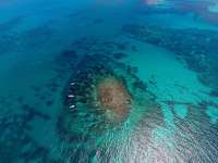 Great day of scuba diving in Key Largo with Rainbow Reef on fire coral cave santana 2019 03 16 r7973 1