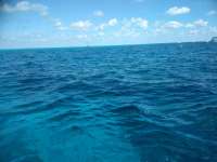 Great day of scuba diving in Key Largo with Rainbow Reef on molasses reef santana 2019 03 01 r7890 1
