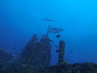 Great day of scuba diving in Key Largo with Rainbow Reef on uscgc duane tropical destiny 2019 03 24 r8014 1