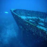 Great day of scuba diving in Key Largo with Rainbow Reef on spiegel grove tropical destiny 2019 05 31 r8358 2