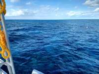 Great day of scuba diving in Key Largo with Rainbow Reef on christ statue tropical destiny 2019 11 23 r8932 1