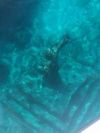Great day of scuba diving in Key Largo with Rainbow Reef on christ statue tropical destiny 2019 10 04 r8805 1