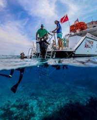 Great day of scuba diving in Key Largo with Rainbow Reef on drift molasses tropical adventure 2019 10 04 r8803 1