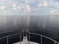Great day of scuba diving in Key Largo with Rainbow Reef on molasses reef santana 2019 09 15 r8768 1