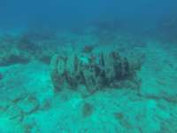 Great day of scuba diving in Key Largo with Rainbow Reef on eagle ray alley tropical serenity 2020 08 29 r9978 1