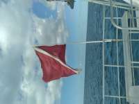 Great day of scuba diving in Key Largo with Rainbow Reef on eagle ray alley tropical destiny 2020 12 19 r10431 1