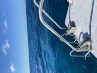 Great day of scuba diving in Key Largo with Rainbow Reef on permit ledges santana 2020 12 19 r10427 1