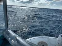Great day of scuba diving in Key Largo with Rainbow Reef on french reef tropical serenity 2020 06 26 r9637 1