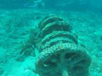 Great day of scuba diving in Key Largo with Rainbow Reef on french reef tropical legend 2021 08 07 r11510 1