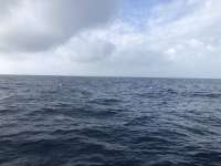 Great day of scuba diving in Key Largo with Rainbow Reef on spiegel grove santana 2021 02 19 r10729 1