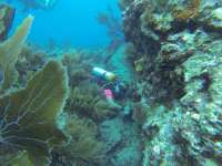 Great day of scuba diving in Key Largo with Rainbow Reef on christ statue tropical serenity 2021 07 20 r11410 2
