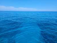 Great day of scuba diving in Key Largo with Rainbow Reef on french reef tropical adventure 2021 07 28 r11462 1