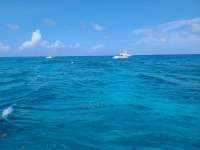 Great day of scuba diving in Key Largo with Rainbow Reef on french reef tropical odyssey 2021 07 20 r11412 1