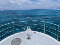 Great day of scuba diving in Key Largo with Rainbow Reef on molasses reef tropical adventure 2021 06 22 r11292 1