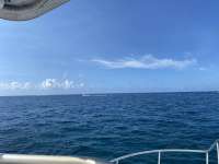 Great day of scuba diving in Key Largo with Rainbow Reef on christmastree cave santana 2021 05 01 r11047 1