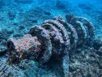 Great day of scuba diving in Key Largo with Rainbow Reef on north star tropical destiny 2021 10 27 r11786 1
