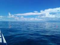 Great day of scuba diving in Key Largo with Rainbow Reef on pickles reef tropical legend 2021 10 15 r11735 2