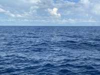Great day of scuba diving in Key Largo with Rainbow Reef on spiegel grove tropical serenity 2021 10 11 r11706 1