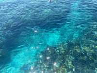 Great day of scuba diving in Key Largo with Rainbow Reef on christ statue tropical serenity 2021 09 07 r11592 1