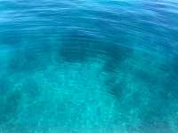 Great day of scuba diving in Key Largo with Rainbow Reef on city of washington tropical serenity 2021 09 25 r11654 1
