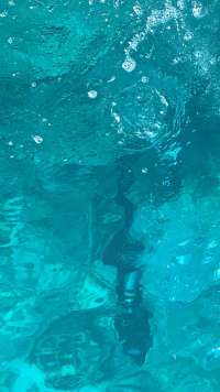 Great day of scuba diving in Key Largo with Rainbow Reef on spiegel grove tropical destiny 2022 01 14 r12044 1