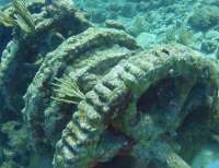 Great day of scuba diving in Key Largo with Rainbow Reef on eagle ray alley tropical adventure 2022 03 28 r12256 2