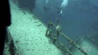 Great day of scuba diving in Key Largo with Rainbow Reef on spiegel grove tropical adventure 2022 03 29 r12264 1