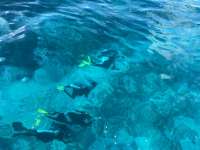 Great day of scuba diving in Key Largo with Rainbow Reef on sand island tropical legend 2022 11 16 r13328 1